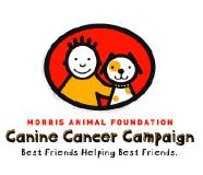 caninecancercampaign